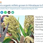 India Exports Organic Millets Grown in Himalays To Denmark