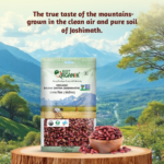 Rajma Chitra – Joshimath – The True taste of hills